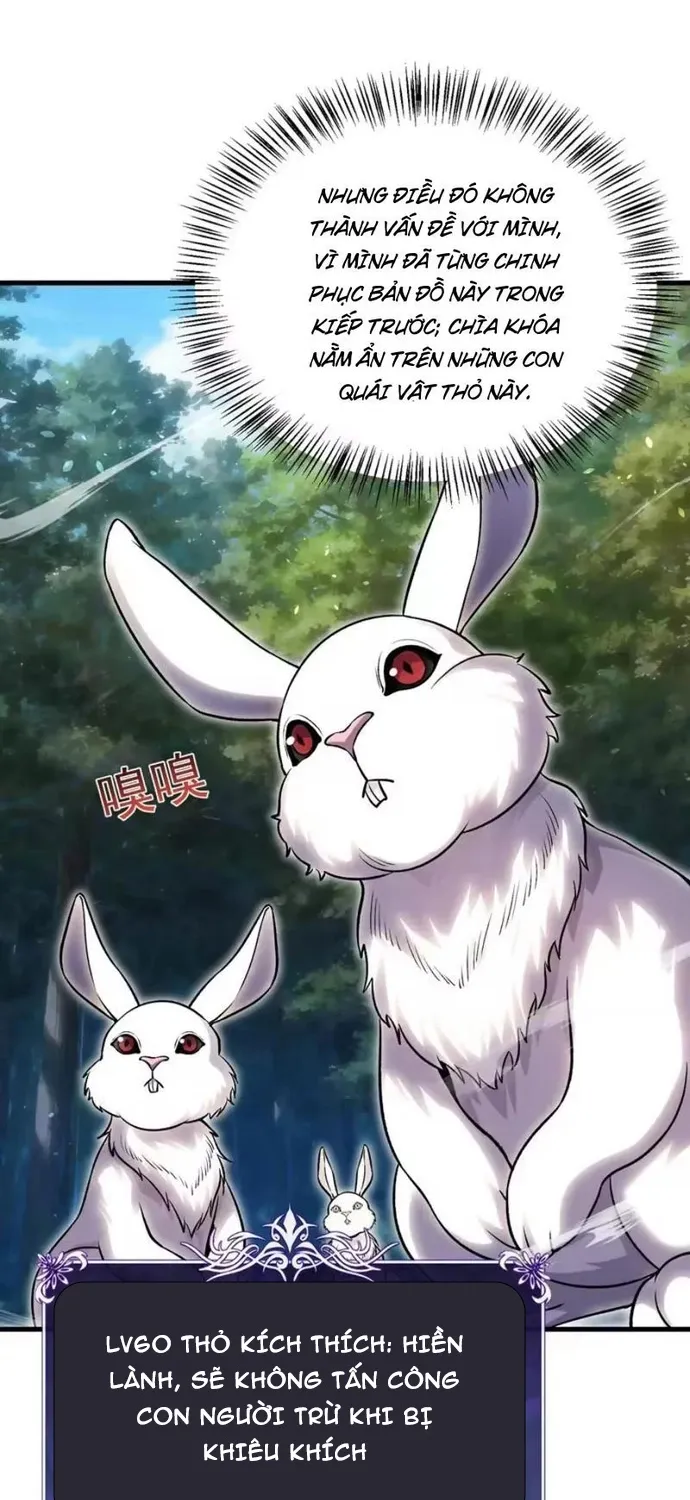 Chapter 164