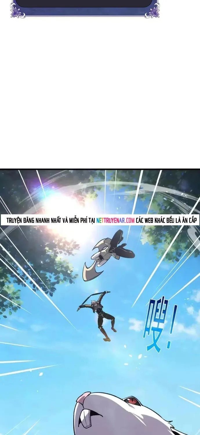 Chapter 164
