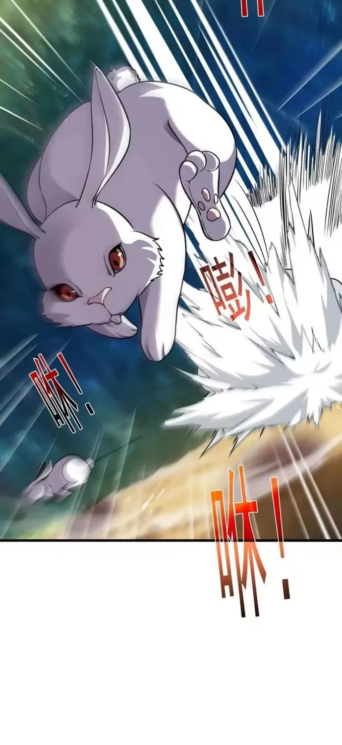 Chapter 164