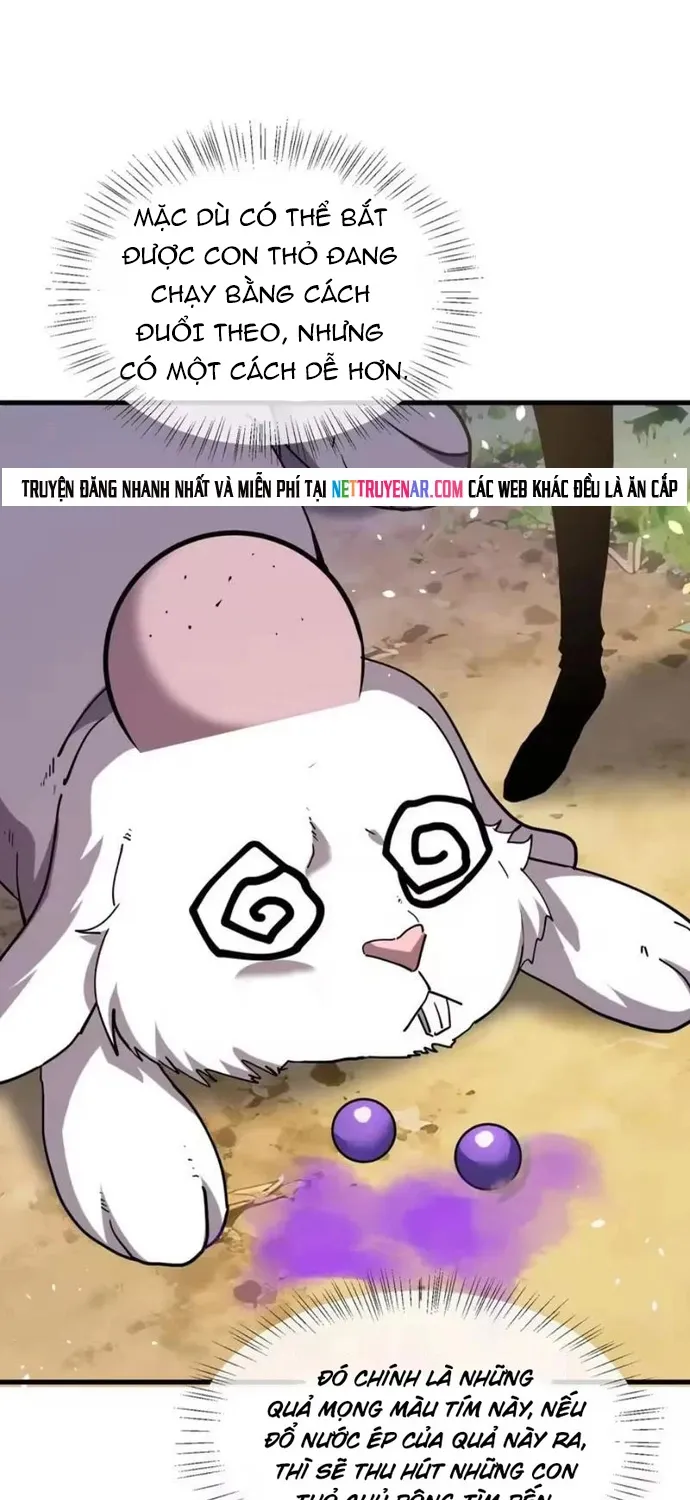 Chapter 164