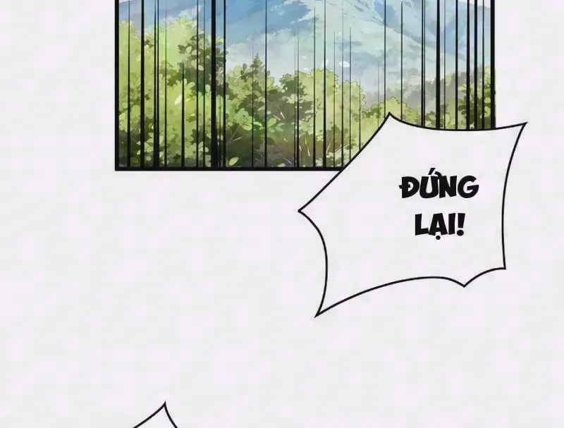 Chapter 165
