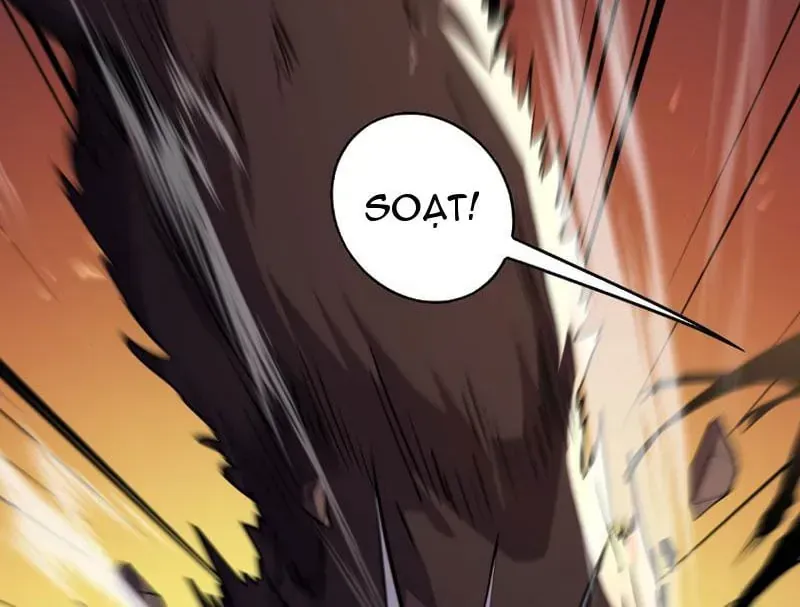 Chapter 165