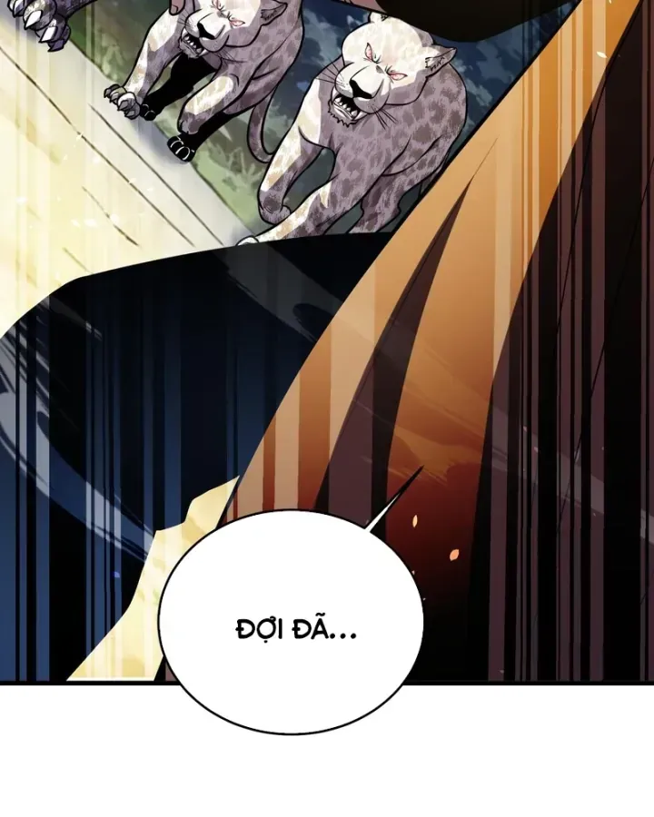 Chapter 166