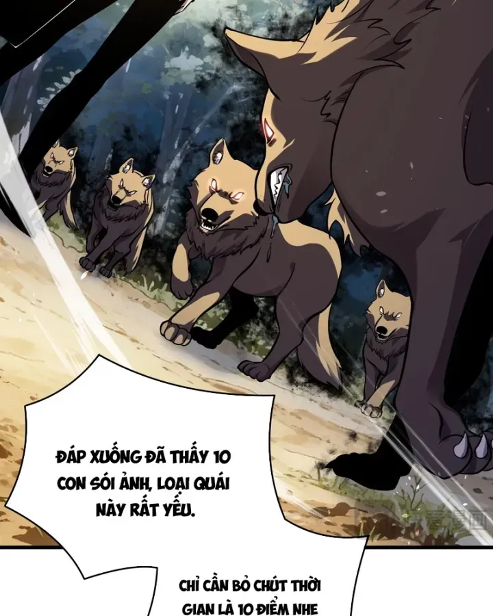 Chapter 166