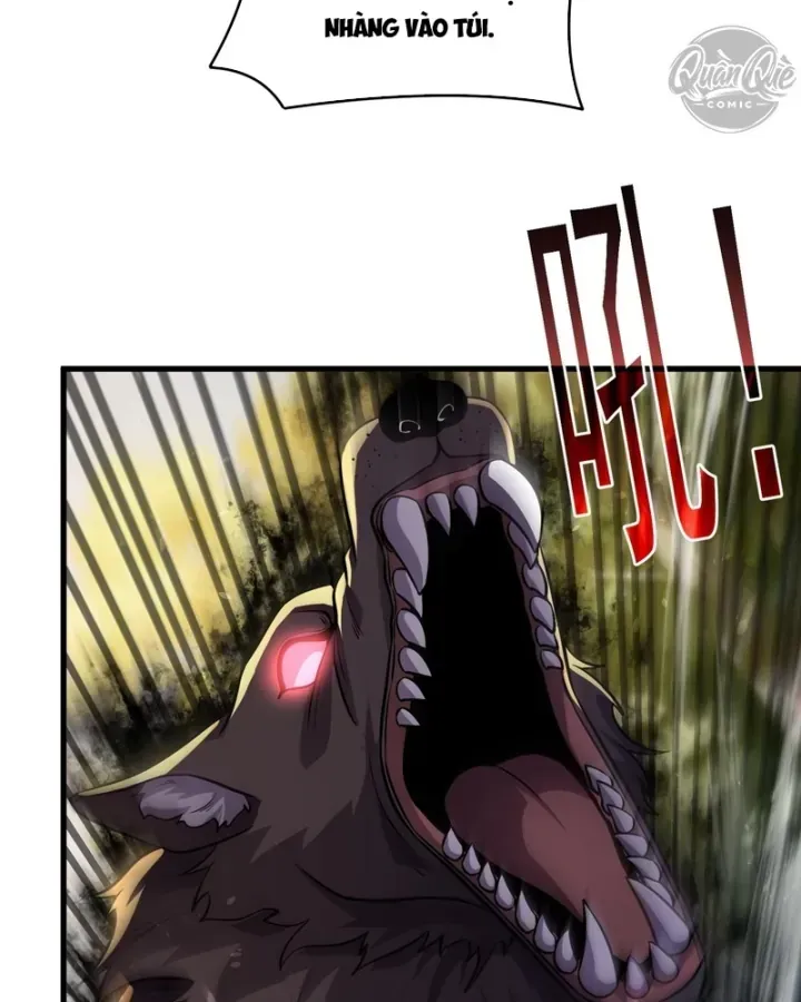 Chapter 166