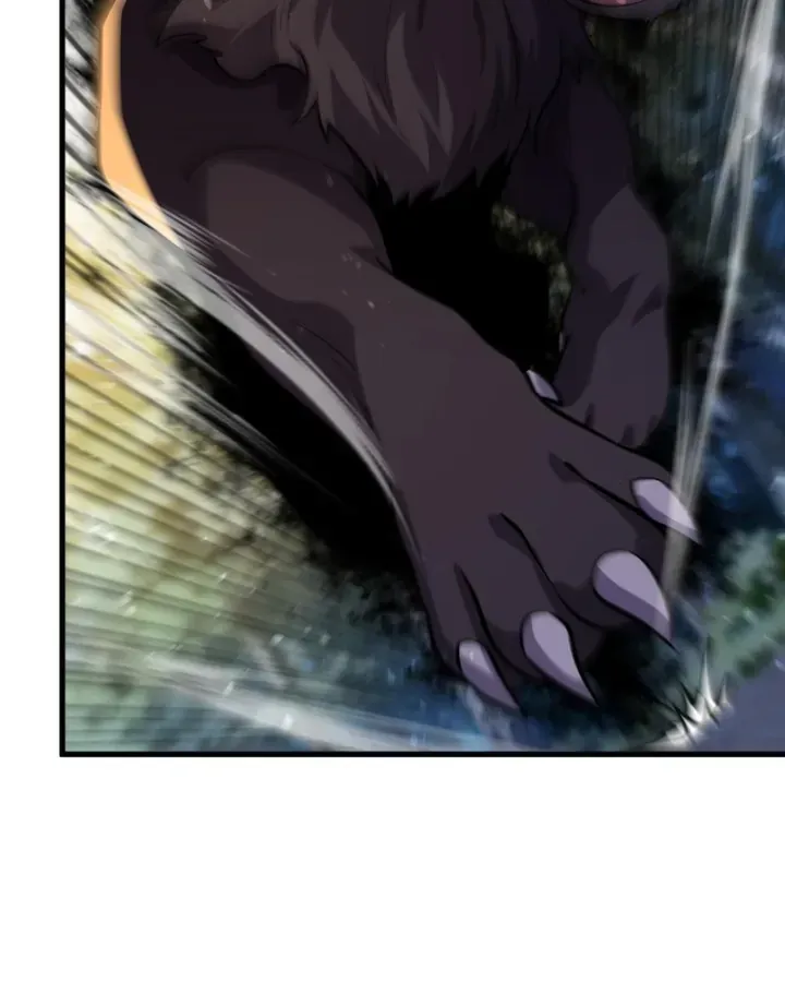 Chapter 166