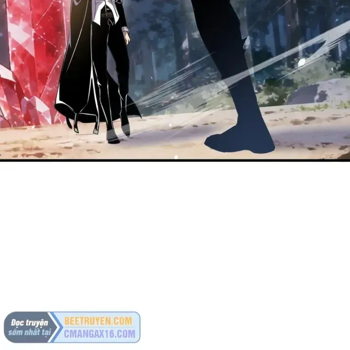 Chapter 166