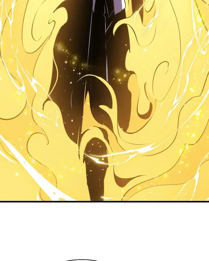 Chapter 166