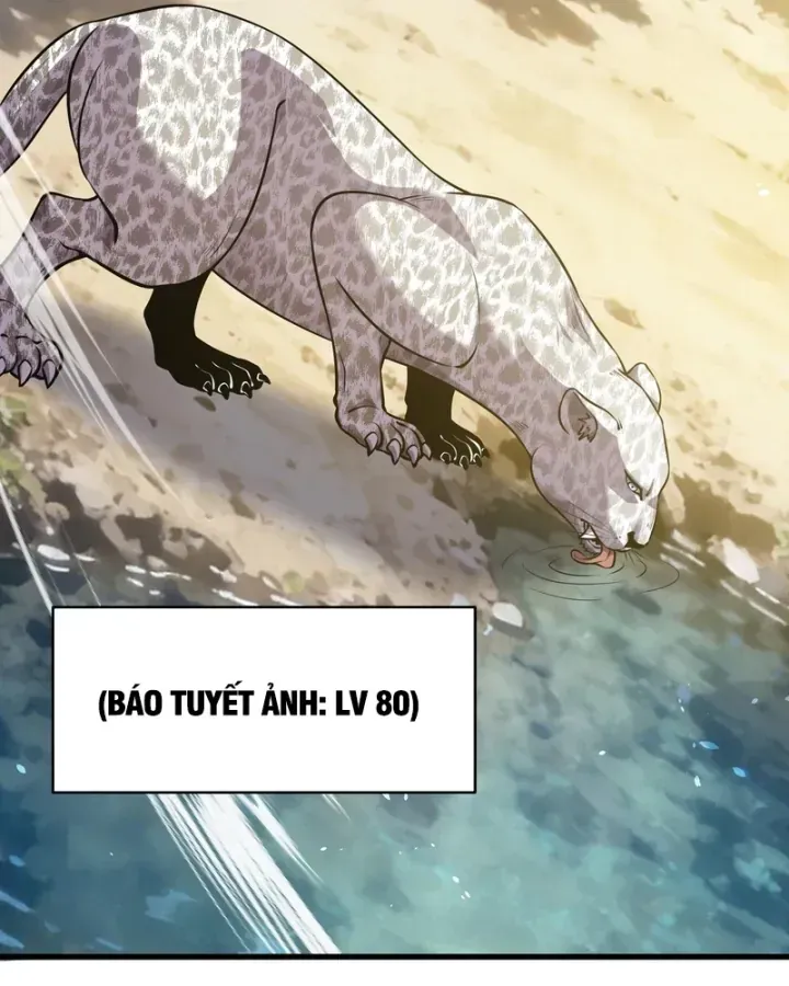 Chapter 166