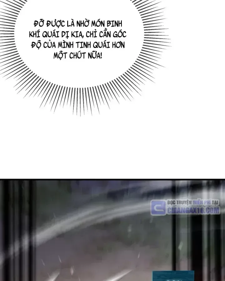 Chapter 167