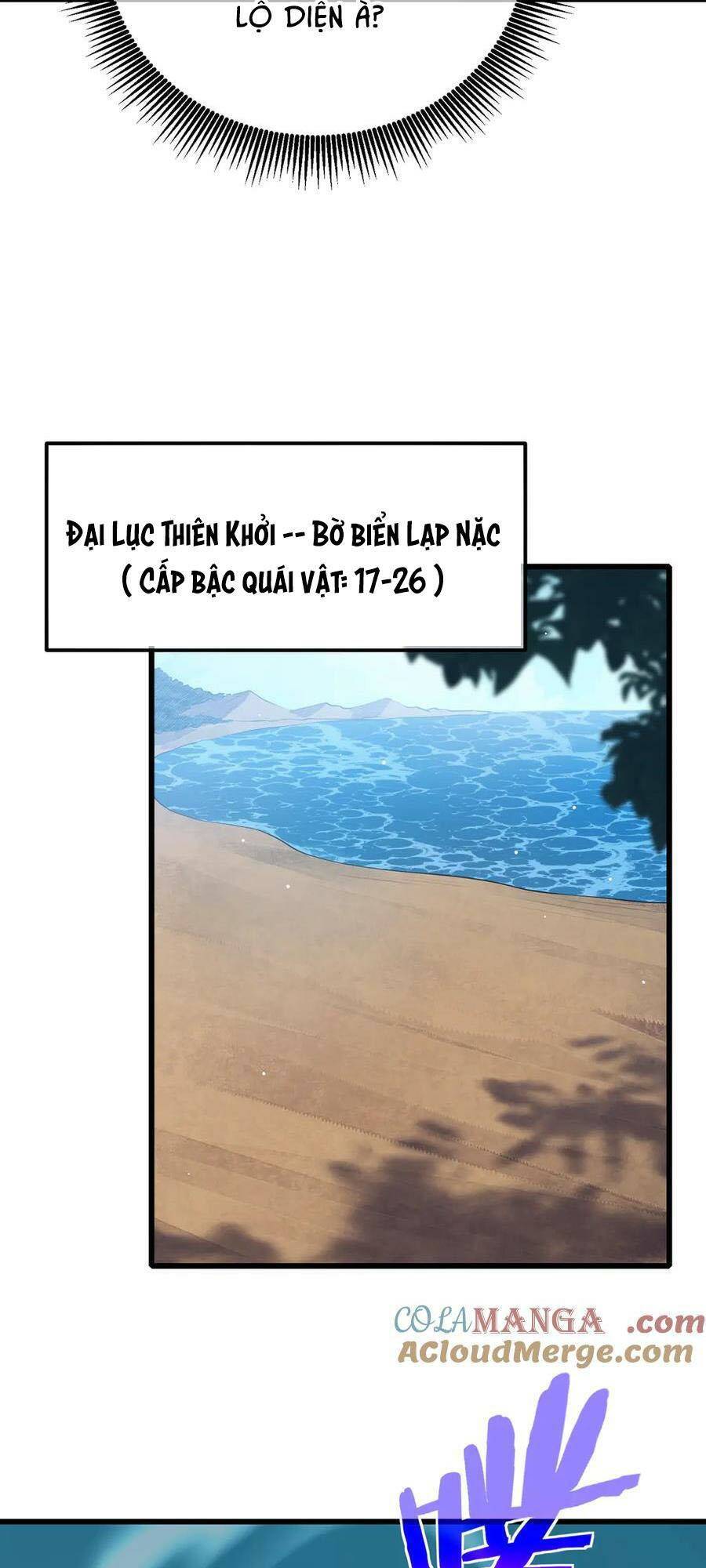 Chapter 19