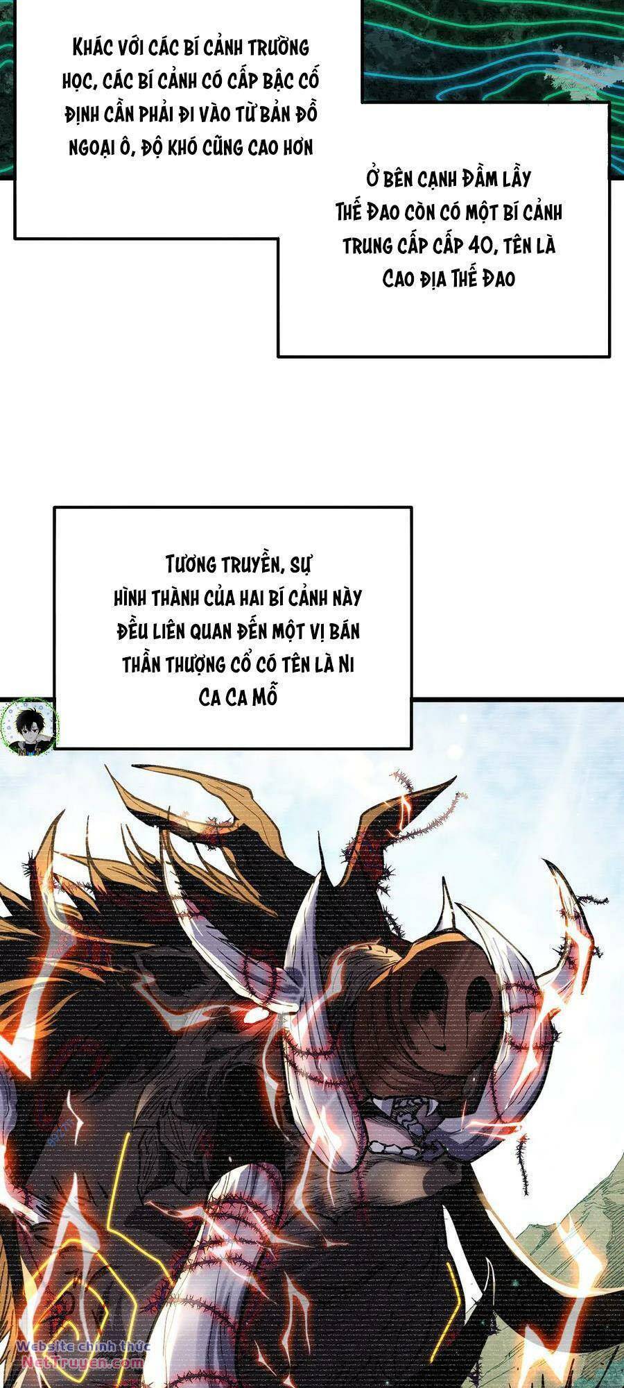 Chapter 20