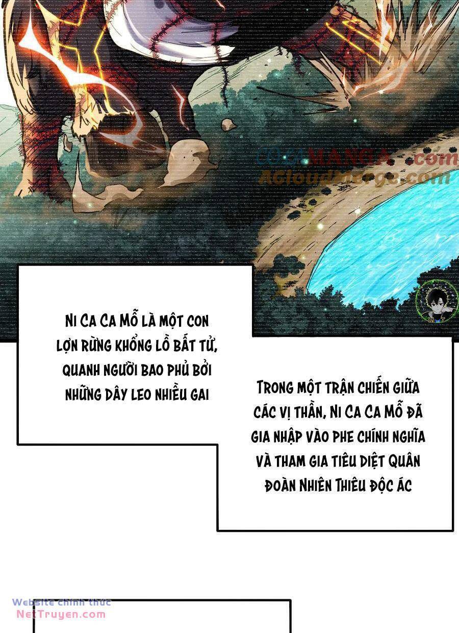Chapter 20