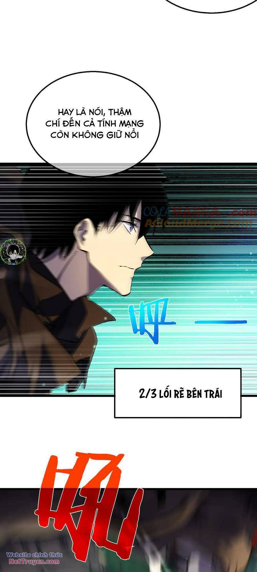 Chapter 20