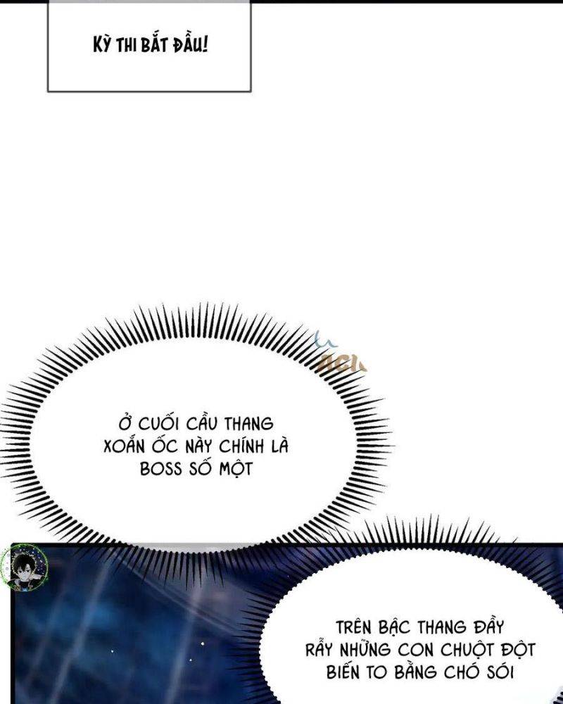 Chapter 25