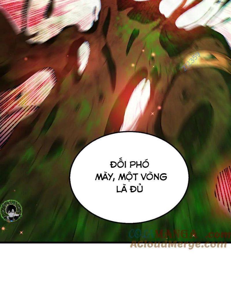 Chapter 25