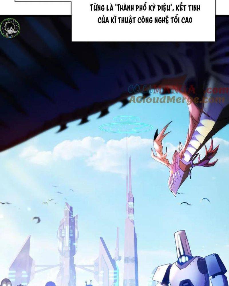 Chapter 25