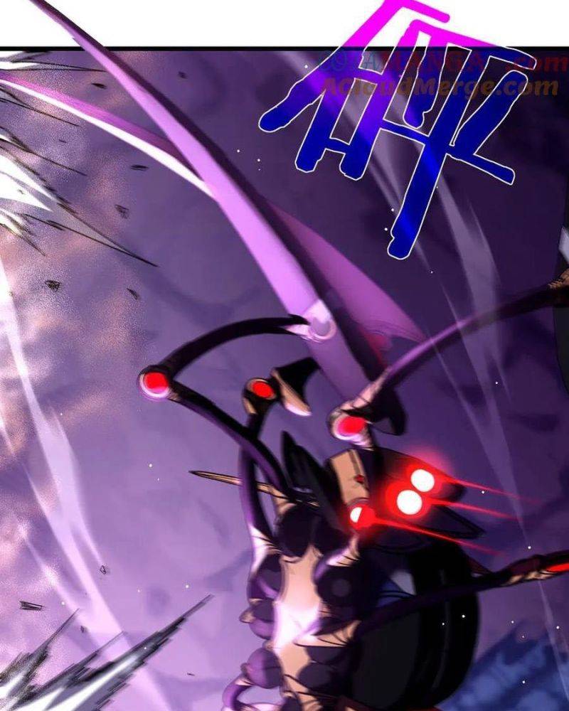 Chapter 25