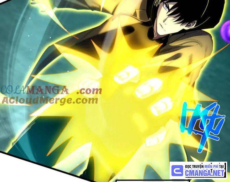 Chapter 26