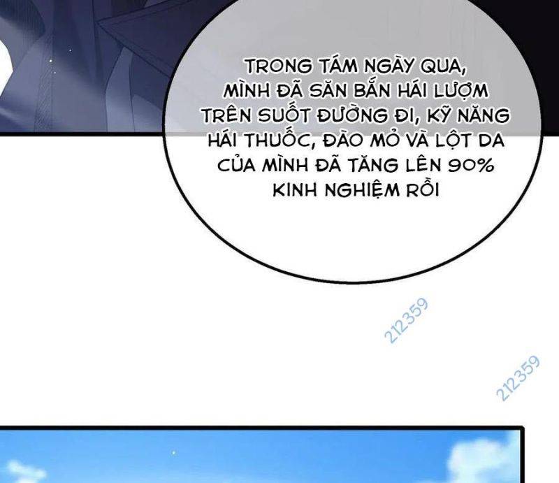 Chapter 29