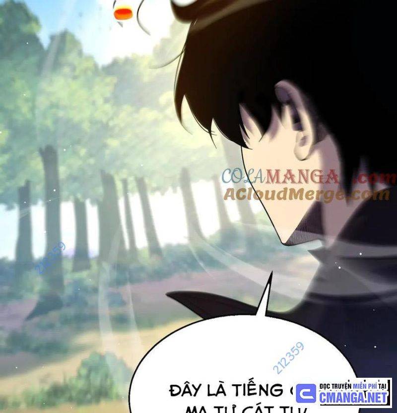 Chapter 29