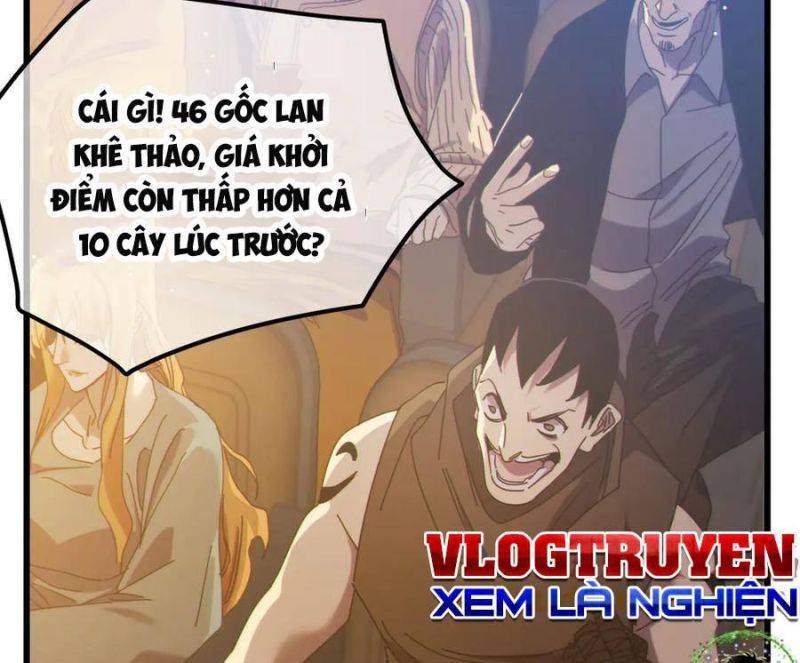 Chapter 31