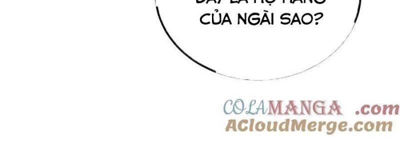 Chapter 33