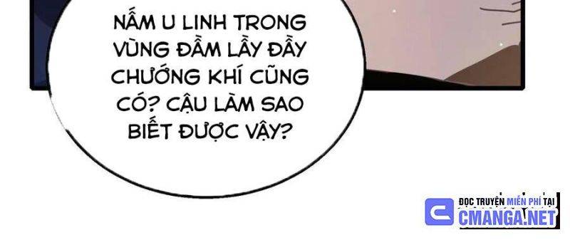 Chapter 33