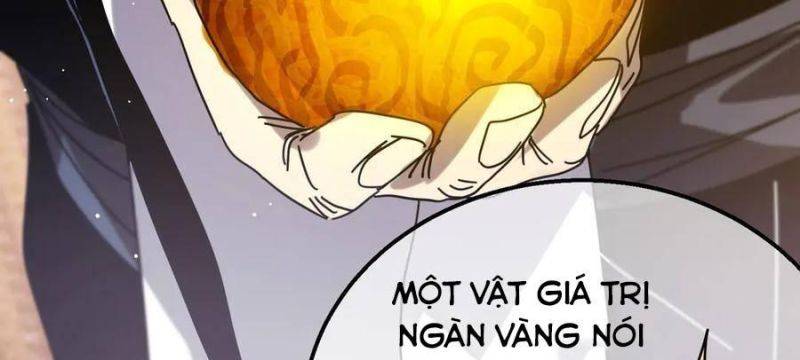 Chapter 33