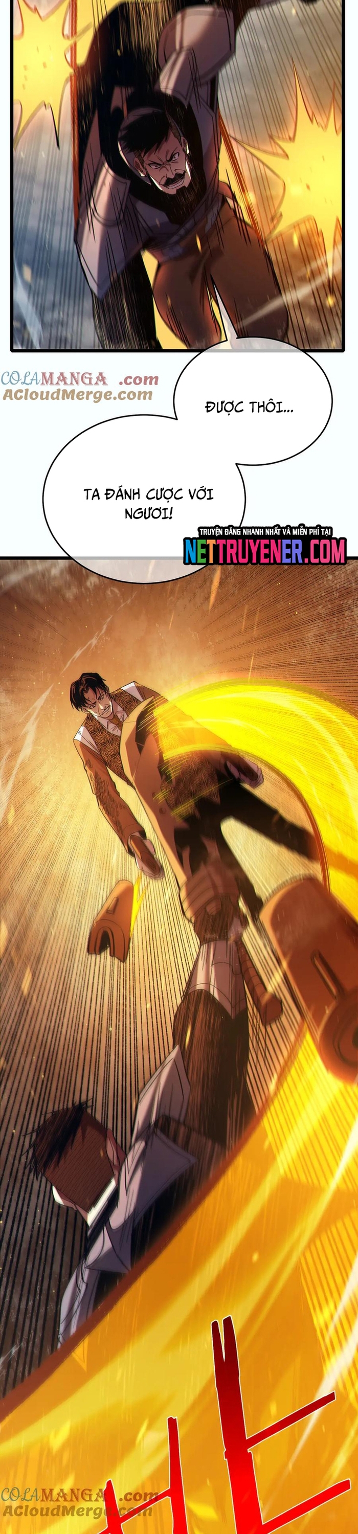Chapter 81