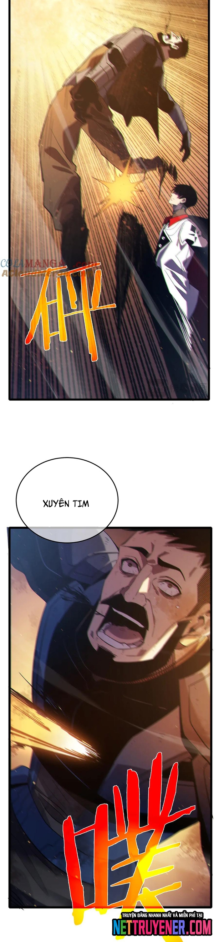 Chapter 81