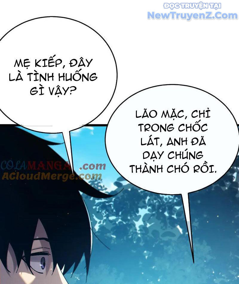 Chapter 84