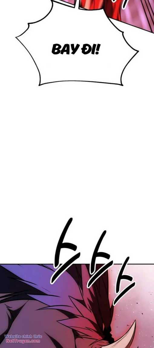 Chapter 29
