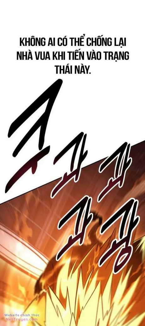 Chapter 29