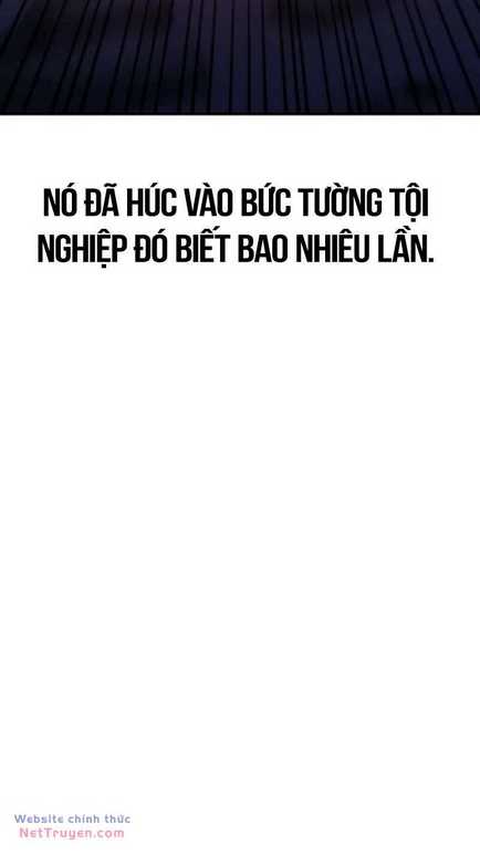 Chapter 29