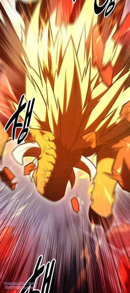 Chapter 29