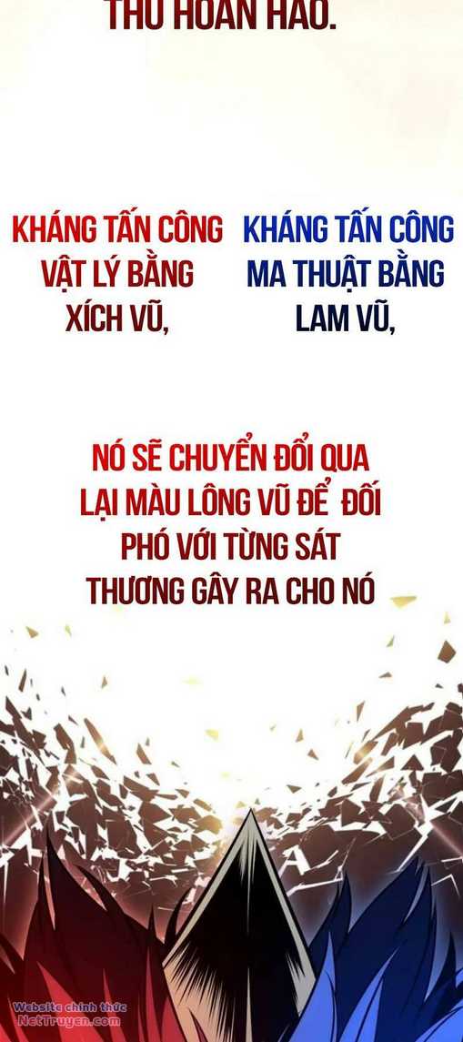 Chapter 29