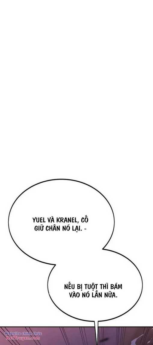 Chapter 29