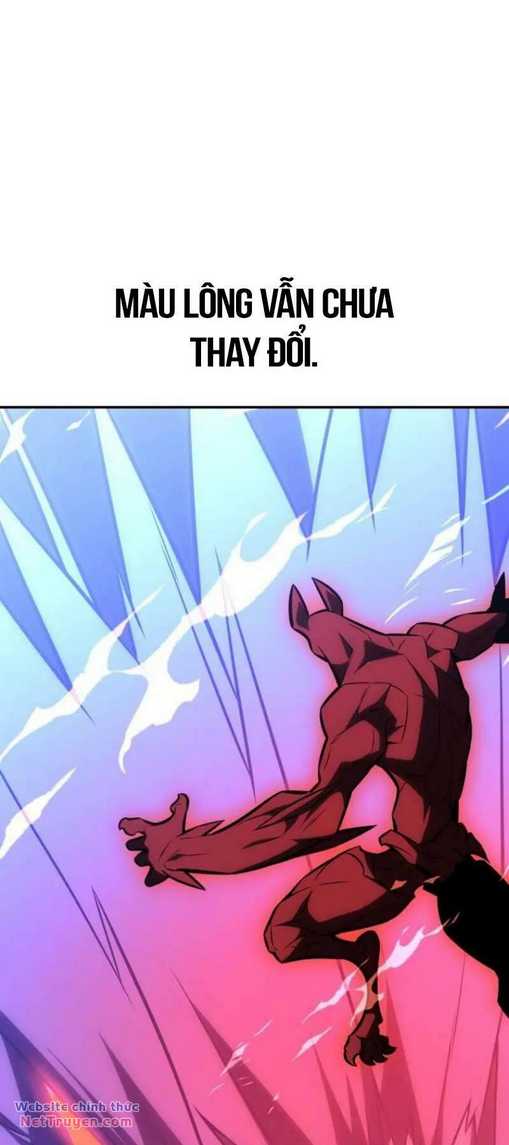 Chapter 29