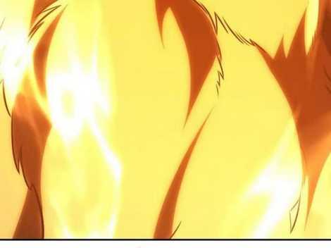 Chapter 29.5