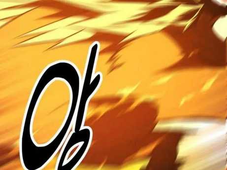 Chapter 29.5