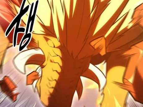 Chapter 29.5