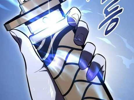 Chapter 29.5