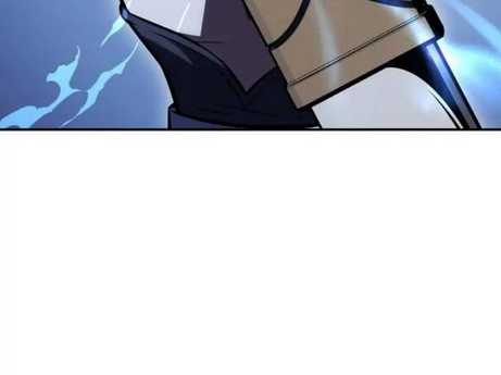 Chapter 29.5