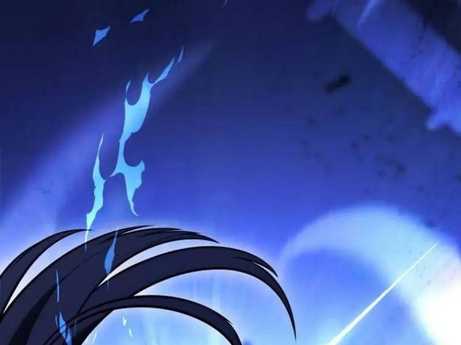 Chapter 29.5