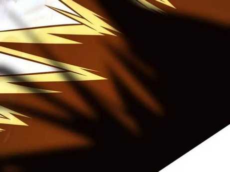 Chapter 29.5