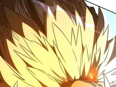 Chapter 29.5