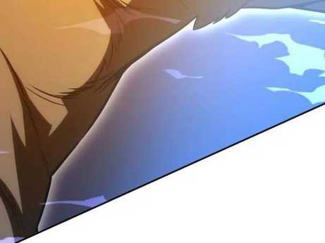 Chapter 29.5