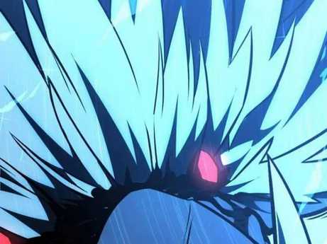 Chapter 29.5