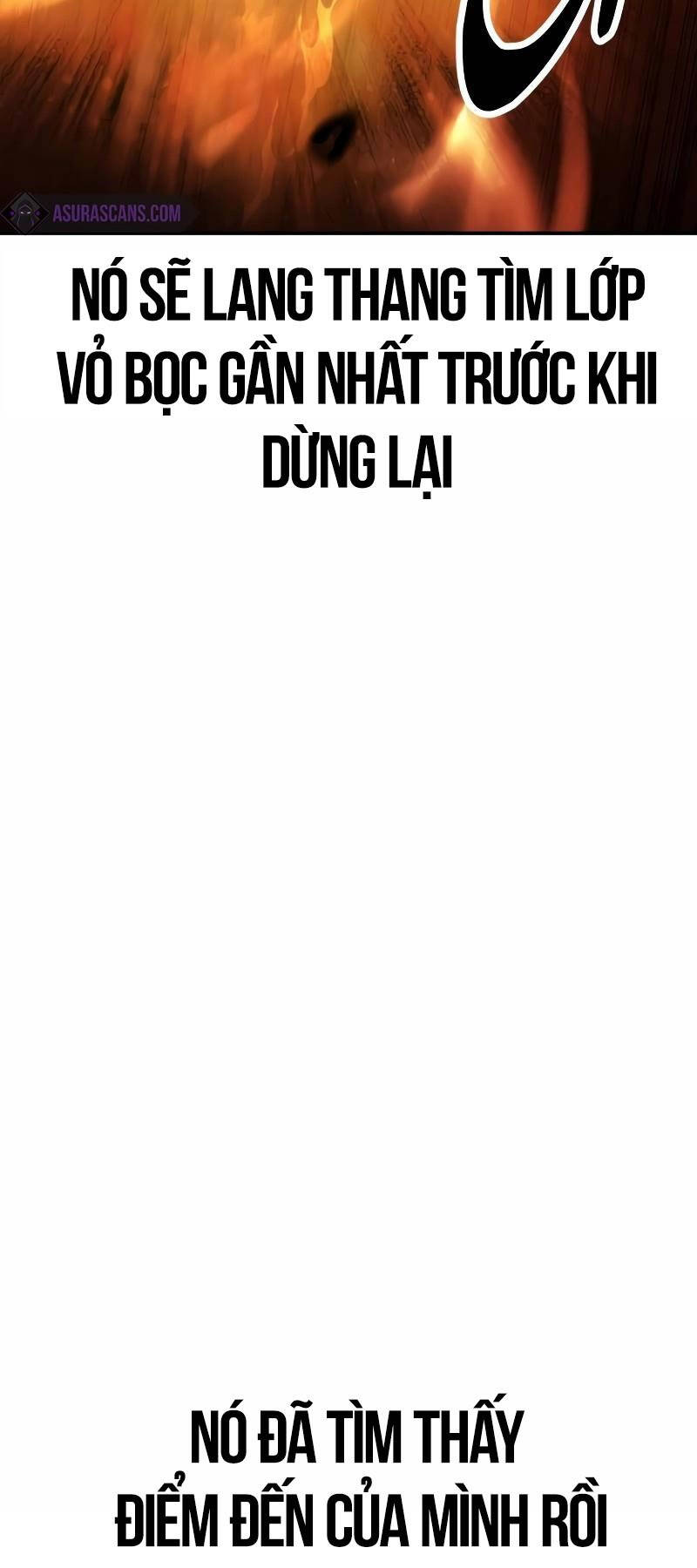 Chapter 30